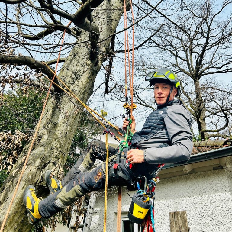 Patrick Weihe in Kletterausrüstung, der an einem Baum hochseilt.