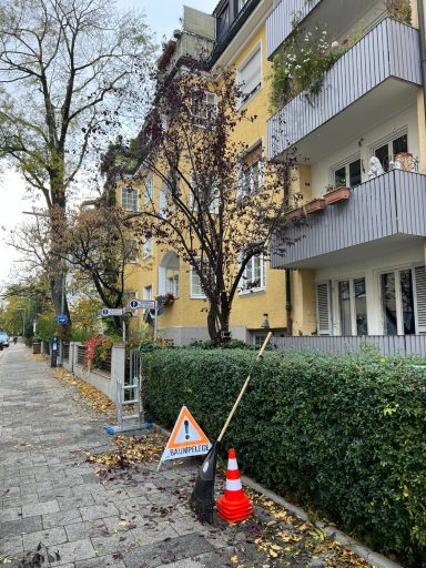 Baum vor einem gelben Gebäude, Umleitungsschild und Verkehrscone auf dem Bürgersteig.