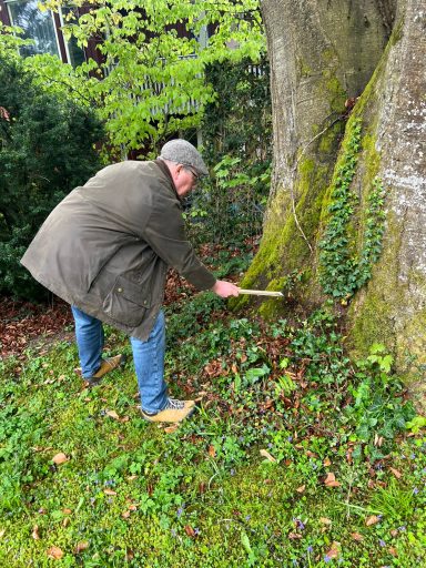Mann untersucht einen Baumstamm mit einer Hacke, von Moos und Efeu umgeben.