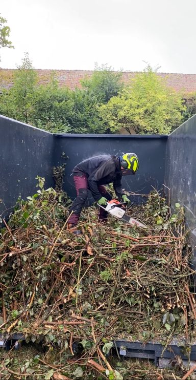 Person mit Sicherheitsausrüstung schneidet Äste in einem Container.