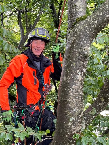 Ein Baumpfleger in orangefarbener Kleidung schneidet einen Baum im Grünen.