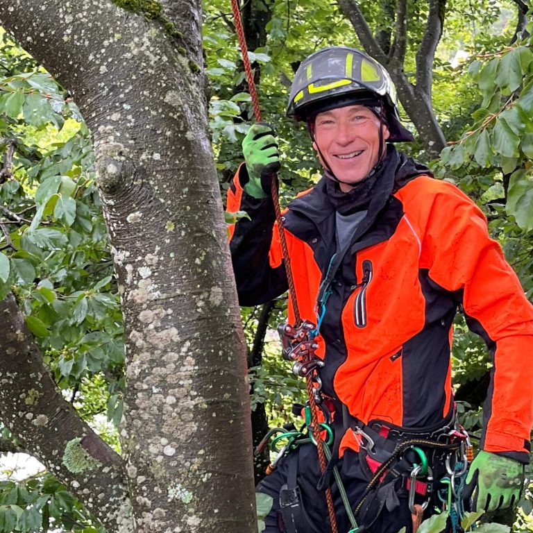 Patrick Weihe im Baum Patrick Weihe in orangefarbener Ausrüstung arbeitet in einem Baum.