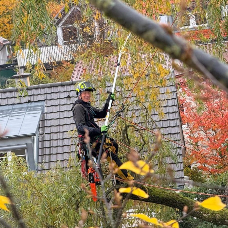 Baumpflegearbeiter schneidet Äste von einem Baum über einem Wohnhaus im Herbst.