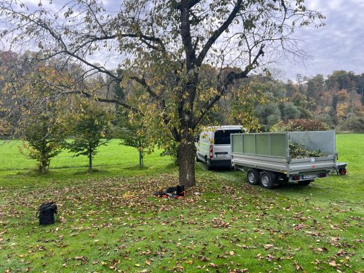 Schwarzer Hund neben einem Baum und einem Anhänger auf einer Wiese im Herbst.